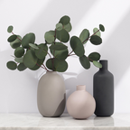 Set de Jarrones Decorativo